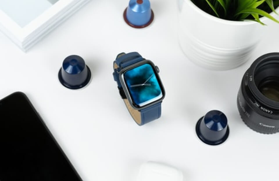 Dogs Do Their Duty for Science tech news post featured img 15